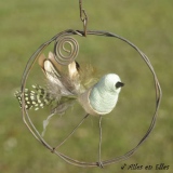 Petit Oiseau - Oiseaux