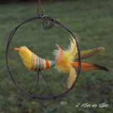 Petit Oiseau - Oiseaux