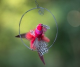 heidi-artiste - Oiseaux