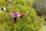 heidi-artiste - Oiseaux