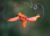 heidi-artiste - Oiseaux