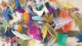 Plumes créatives - Atelier  ZOZIOS