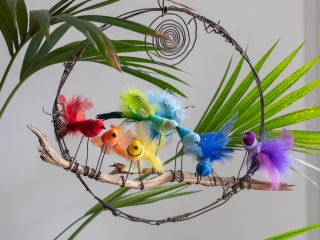 heidi-artiste - Oiseaux: Commandes personnalisées