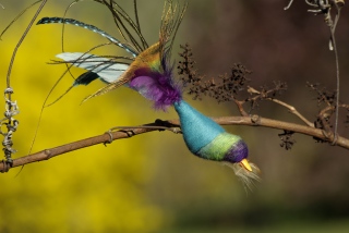 heidi-artiste - Oiseaux: Commandes personnalisées